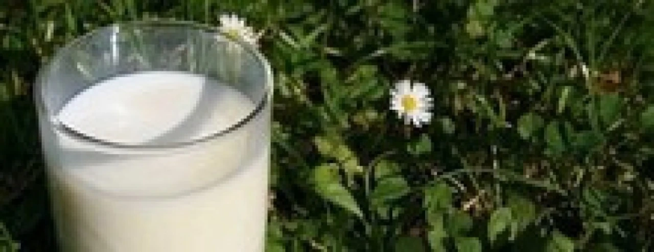 Laktoseintoleranse