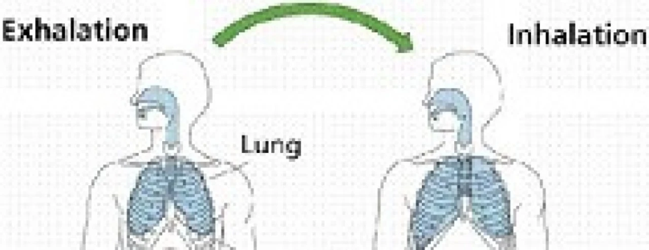 Bracing vs hollowing