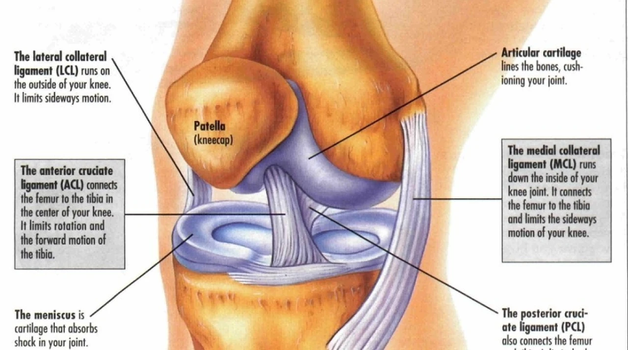 5 sjekkpunkter for valgus og forebygging av kneplager