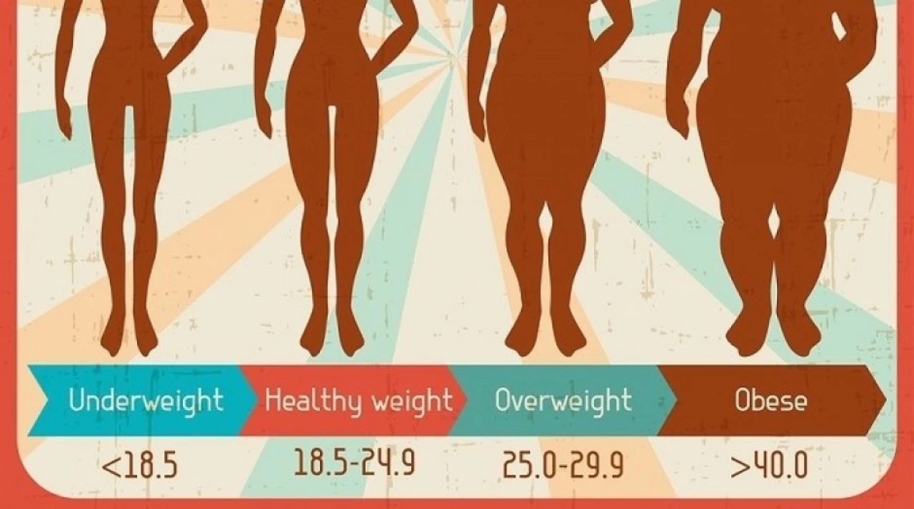 Ukens forskning: BMI og helse