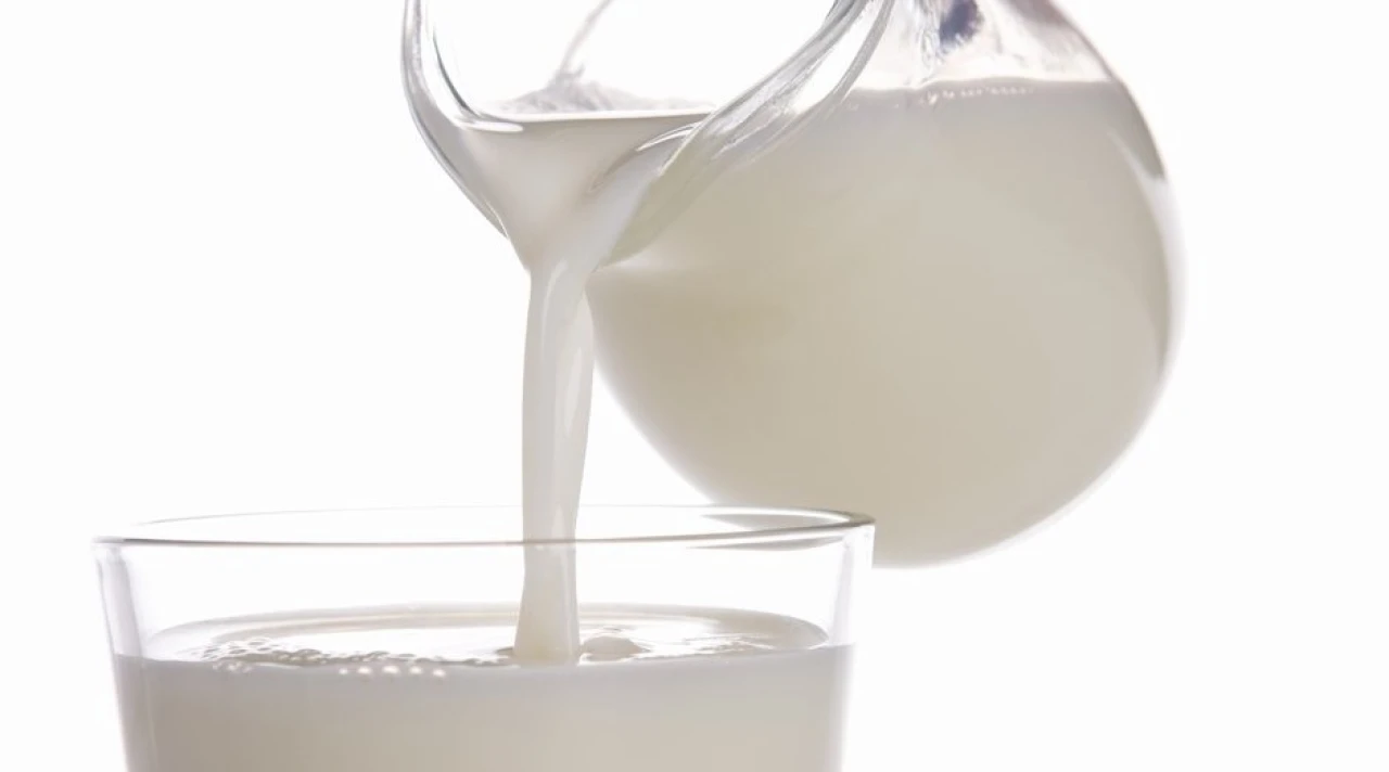 Protein kritisk for apetitt kontroll