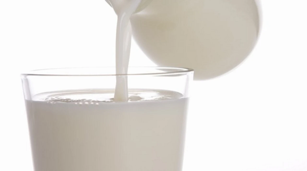 Er melk kun for kalver?