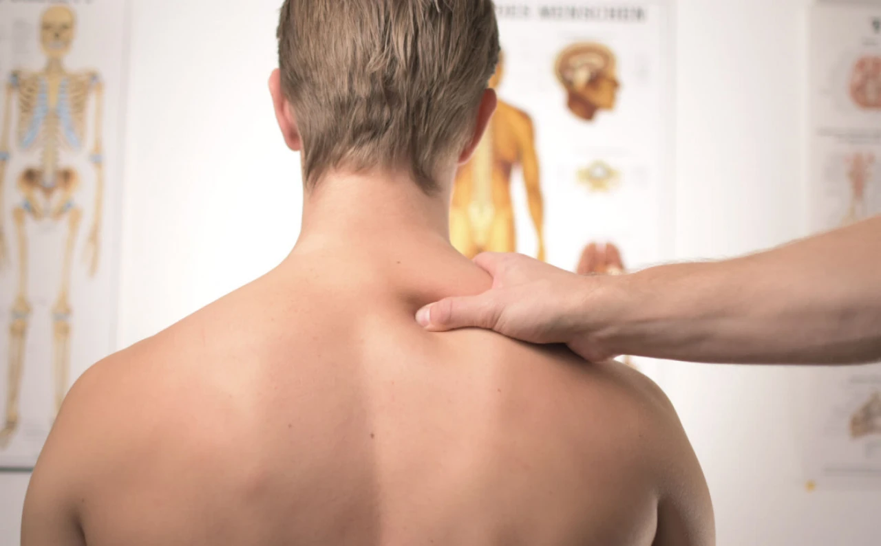 "AnaTommy"; trapezius