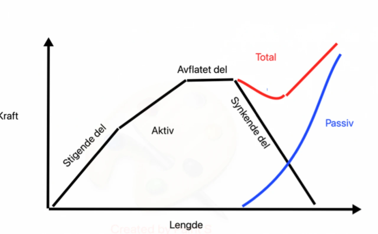 Trening med ulike grader av bevegelsesutslag
