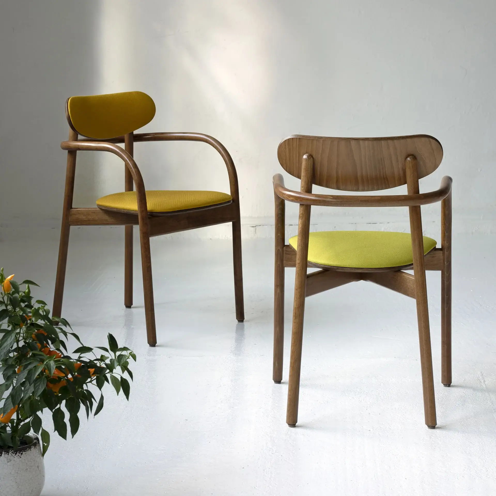 Butaca LA BENDA – ambiente [GALLERY-horeca-b-2960-la-benda-5] (15)