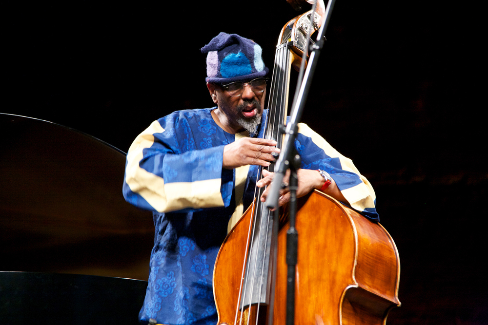 A close up of William Parker dressed in blue plucking the bass strings