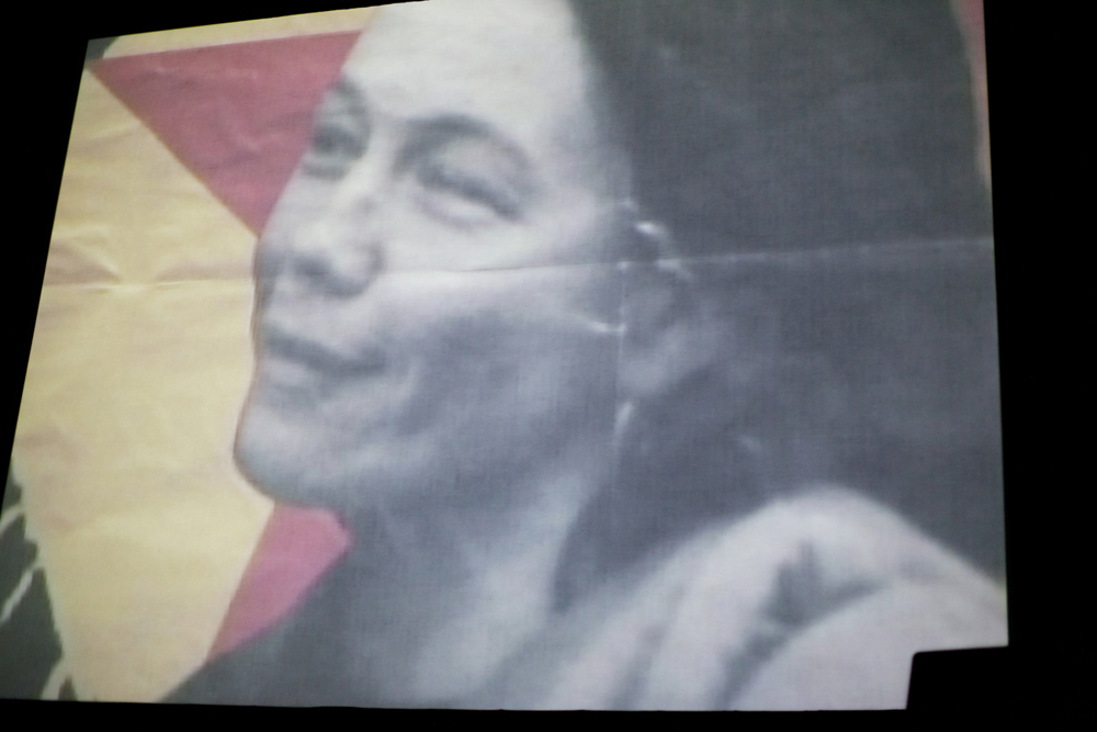 A shot of a screen showing Hito Steyrel film