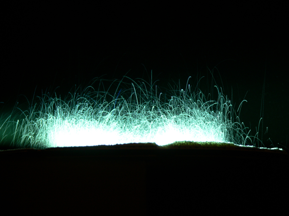 A process under way lit from behind, small particles jumping like fur