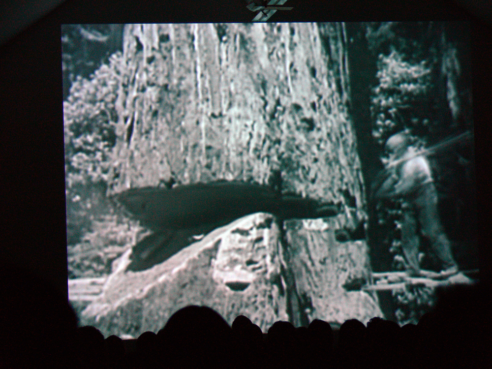 A black and white image of lumber jacking projected on a screen