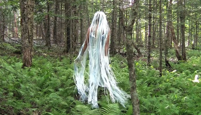 A figure with a long white wig floats in a fern covered forest floor