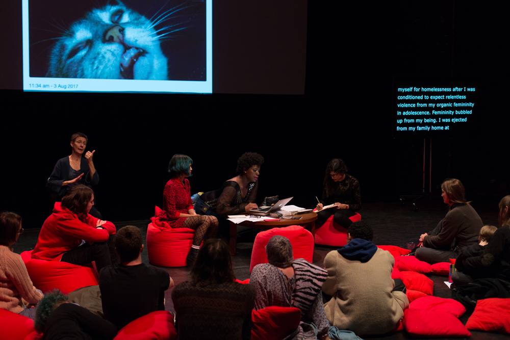 Projection of a cat's face, an audience, red cushions and a discussion