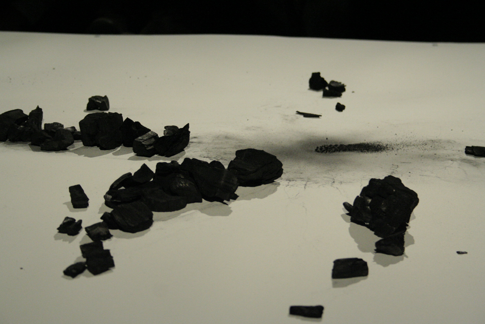 Pieces of coal on a sheet of white paper