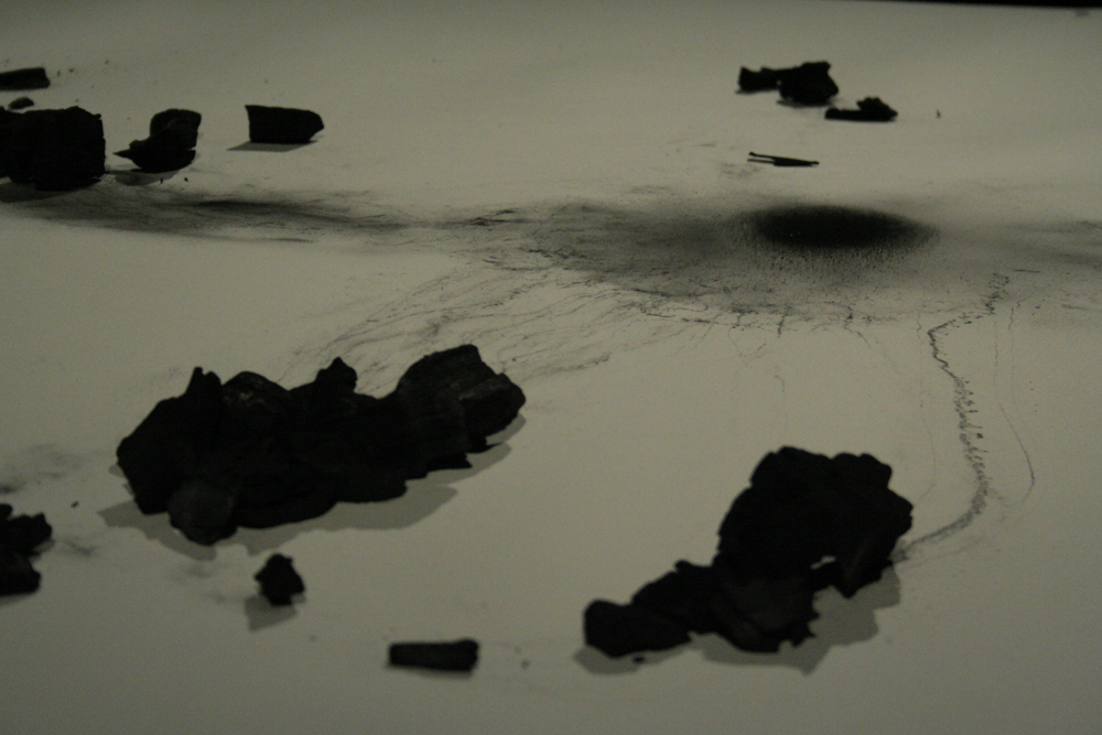 Pieces of coal on a sheet of white paper