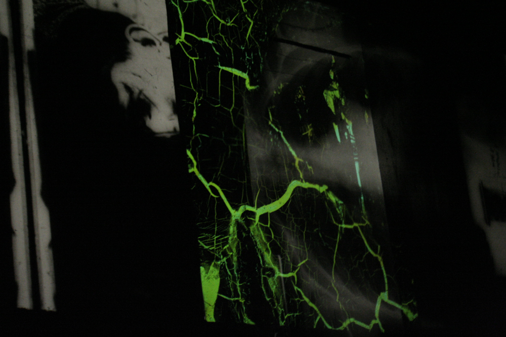 Projected images of black and white textures and green forms on a screen 