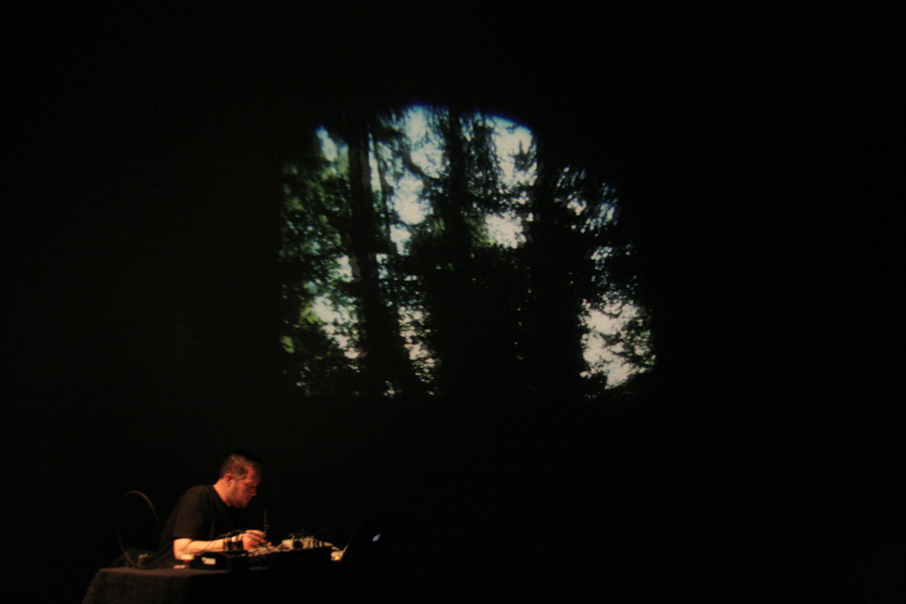 A projection of a tree near Lee Patterson who is working with a mixer