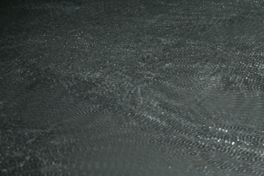 Ripples on the surface of water 