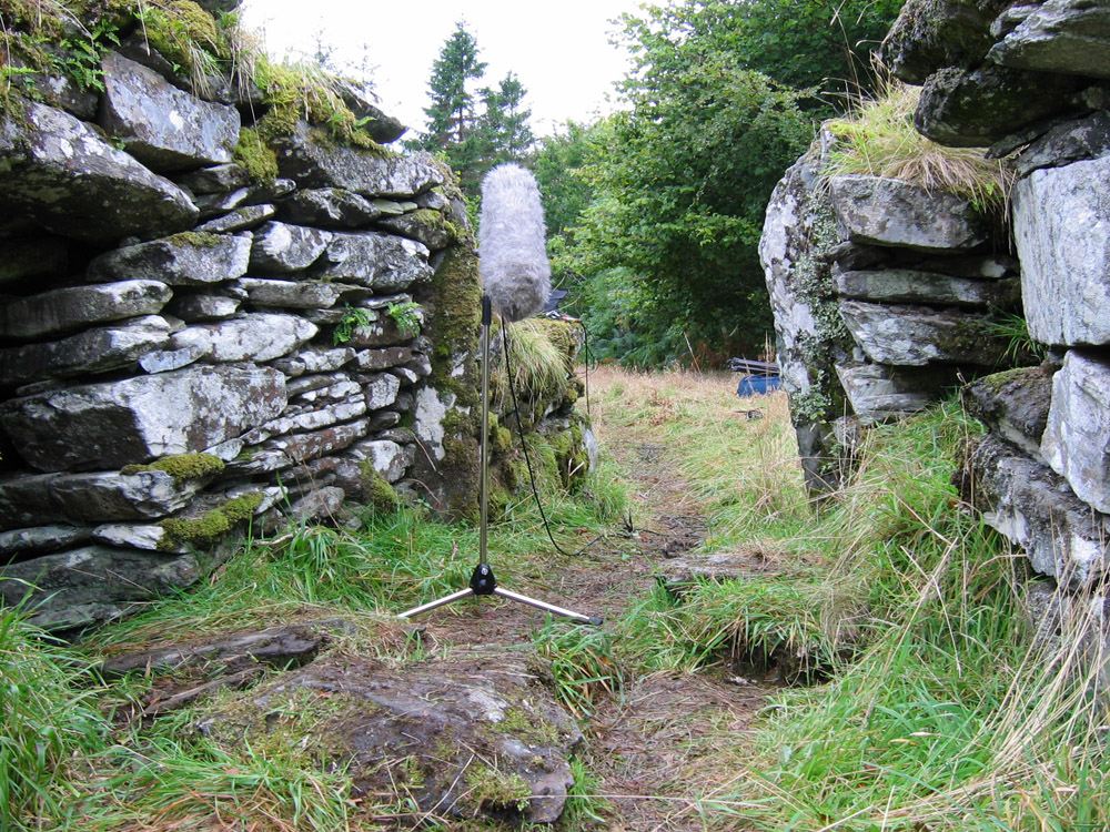 A microphone recording amidst an overgrown and ancient broch
