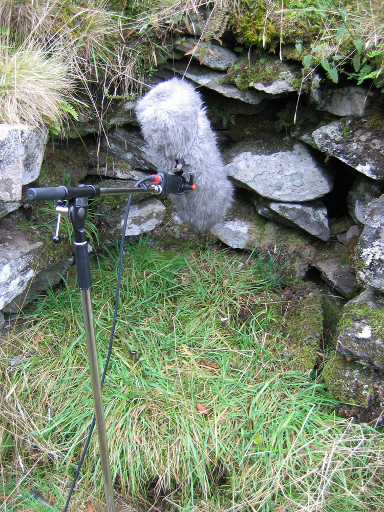 A Microphone recording at an overgrown and ancient broch