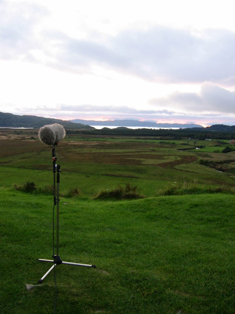 A microphone on a heath pointing down the glen