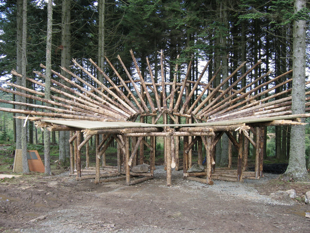 A wooden structure in the woods