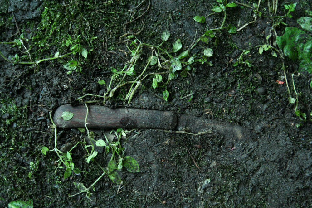 A pocket knife embedded in some mud near what looks like watercress