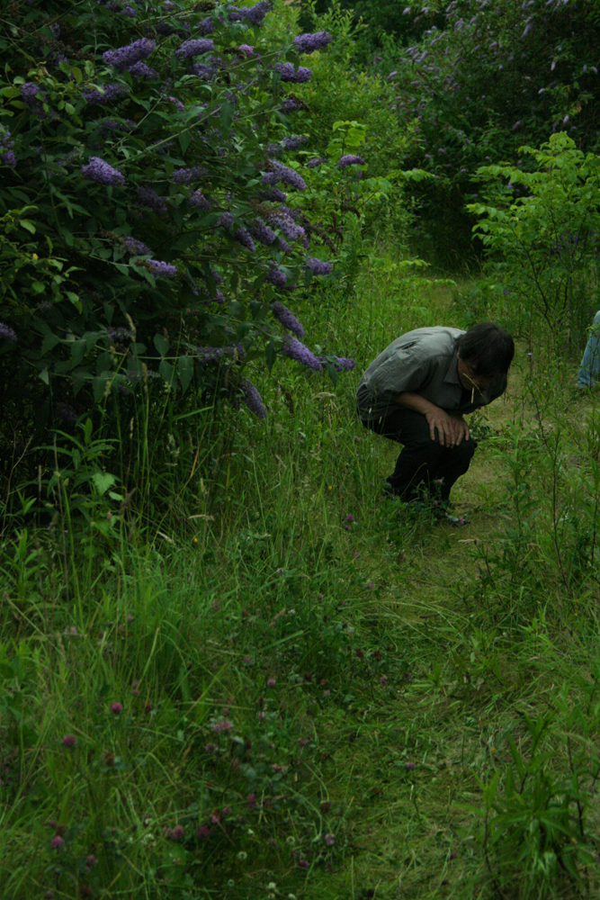 Ikuru Takehashi blowing a small instrument near buddleia and grasses 