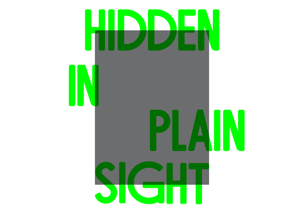 Hidden In Plain Sight Poster Graphic