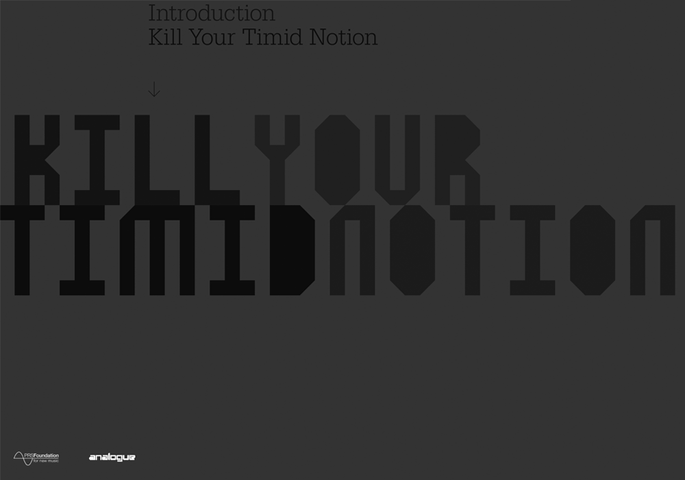 Kill Your Timid Notion 04 brochure cover
