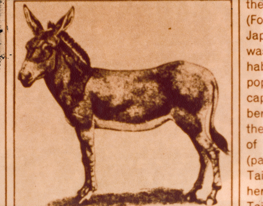a newspaper clipping of a drawing of a donkey, side on