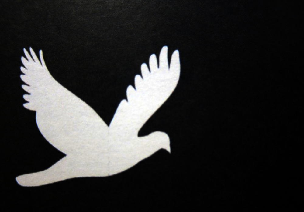 Graphic of a white bird on a black background