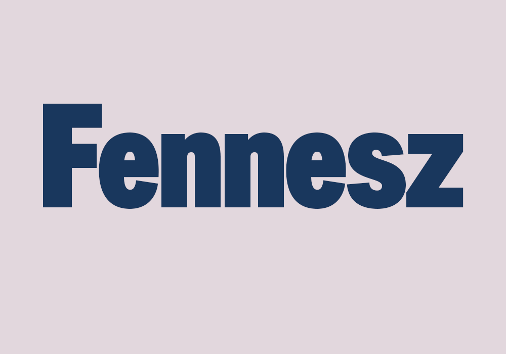 Image with the word: Fennesz