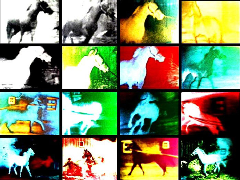 Several frames of different saturated colours of a horse in motion