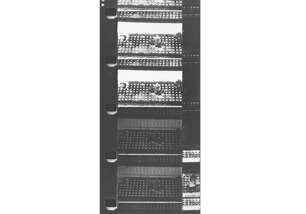 Several 16mm film frames of a stairway covering both image and sound areas