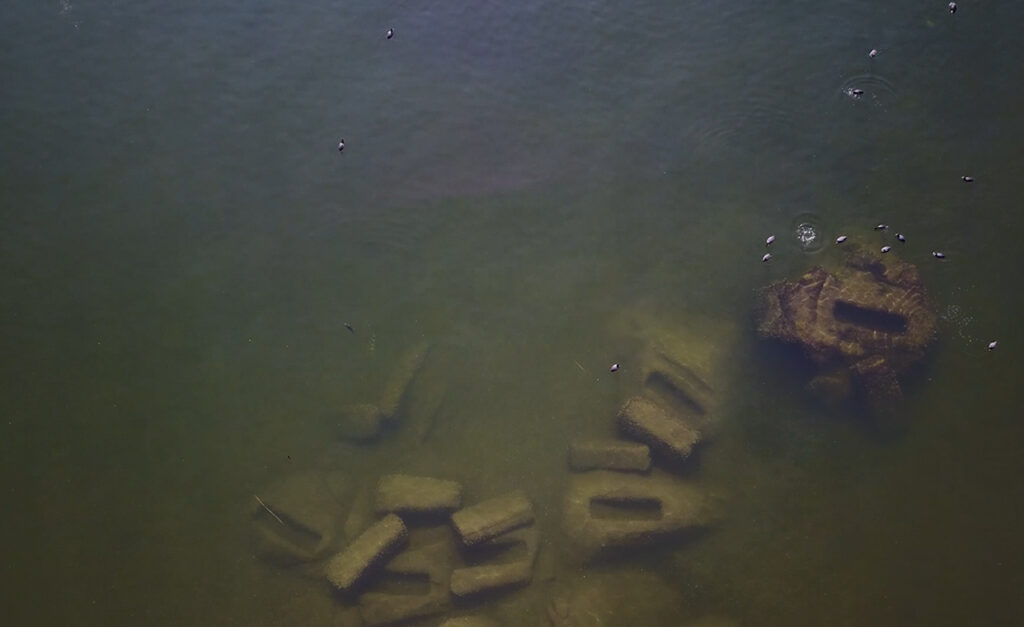 A shot of murky green and brown water with several rectangular bricks submerged