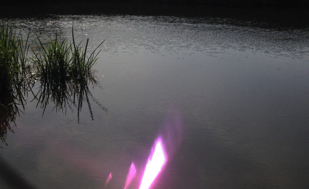 A gloomy pond with dark rushes reflect a grey light. A pink lens flare