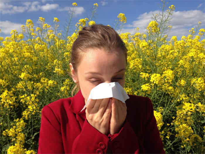 dust allergy in spring