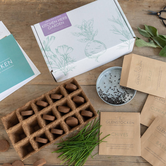 Buy Grow Your Own Kitchen Herbs Kit Online