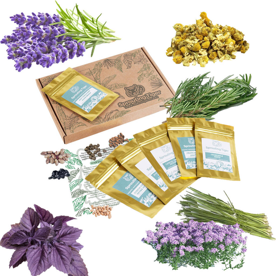 Buy Grow Your Own Herb Garden Gift Set Online