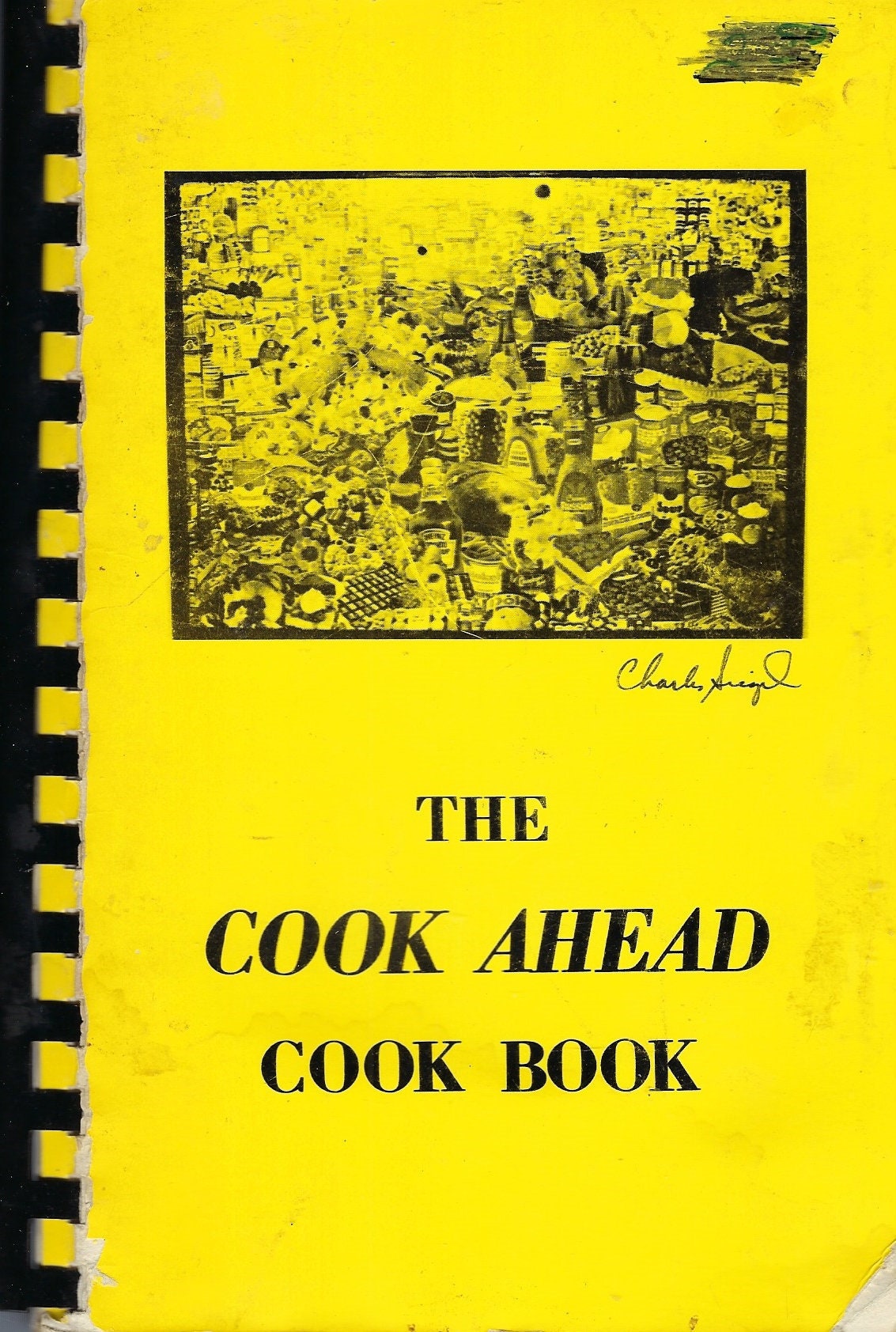 Chicago Illinois Vintage 1973 Beth Am Sisterhood The Cook Ahead Cookbook Ethnic Jewish Passover & Traditional Il Community Rare Book