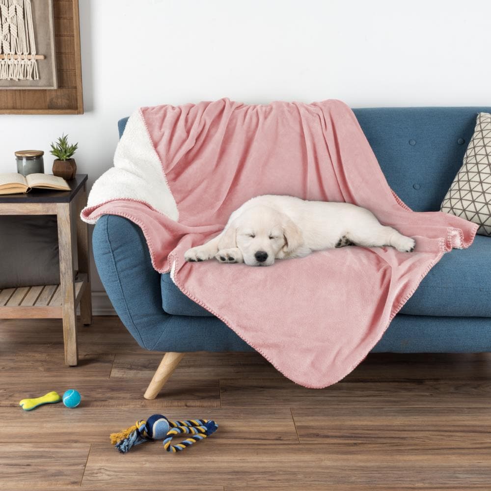 Pet Pal Pet Blankets Pink 50-in x 60-in Blend Blanket | 696639YMA