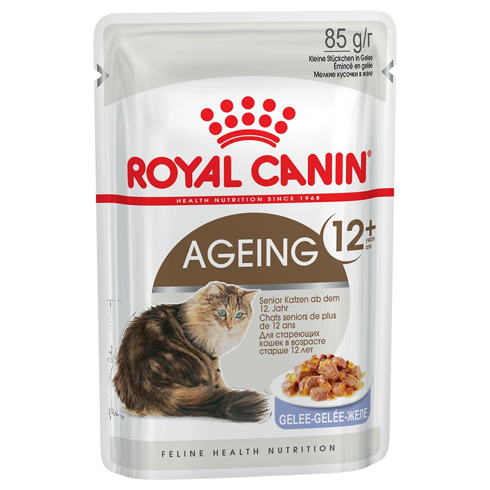Royal Canin Ageing 12+ in Jelly - Saver Pack: 48 x 85g