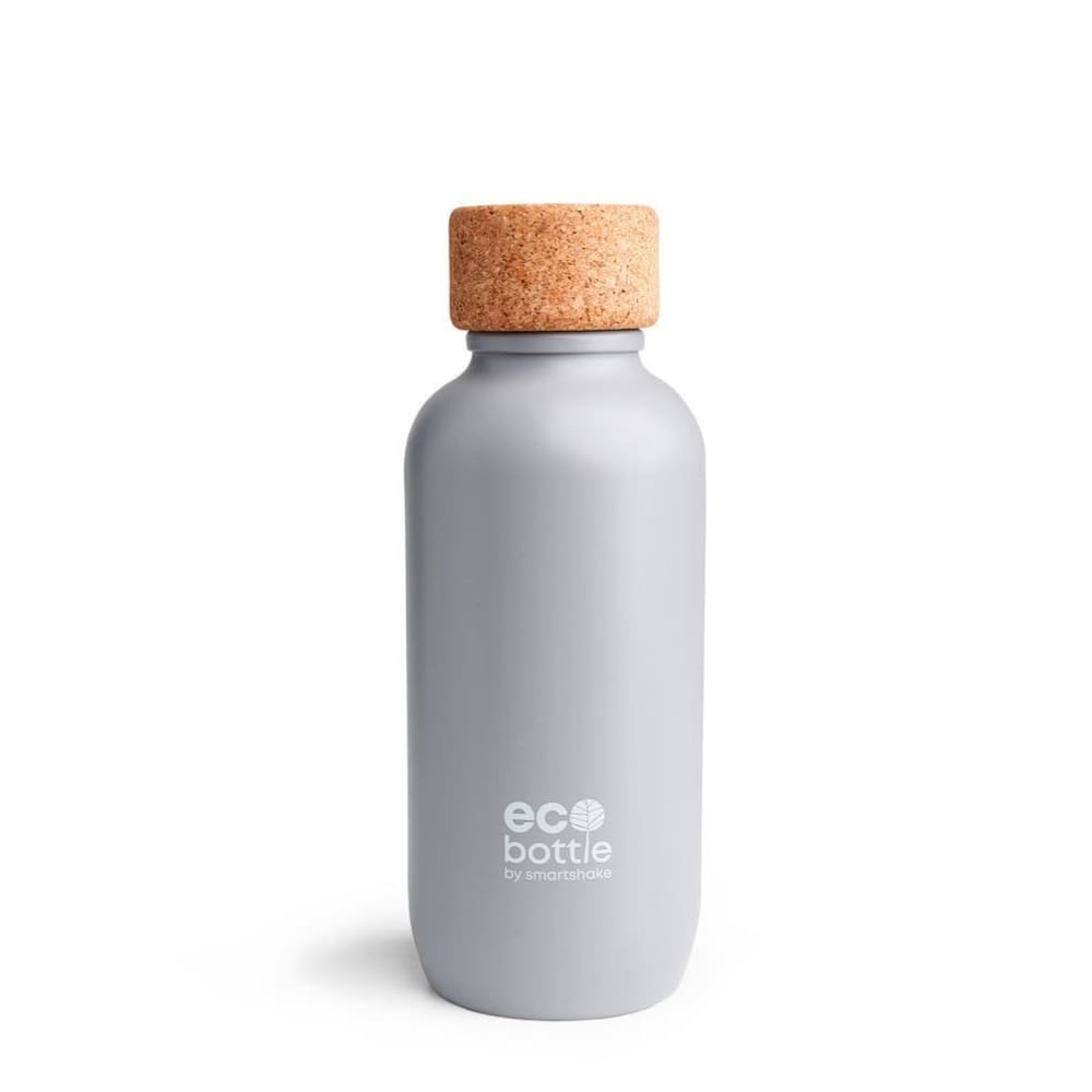 EcoBottle, Grey - 650 ml.