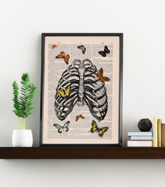 Wall Art Print Butterfly Collage Upcycled Dictionary Page, Book Art Print, Book Print Butterflies in Rib Cage - Ska068
