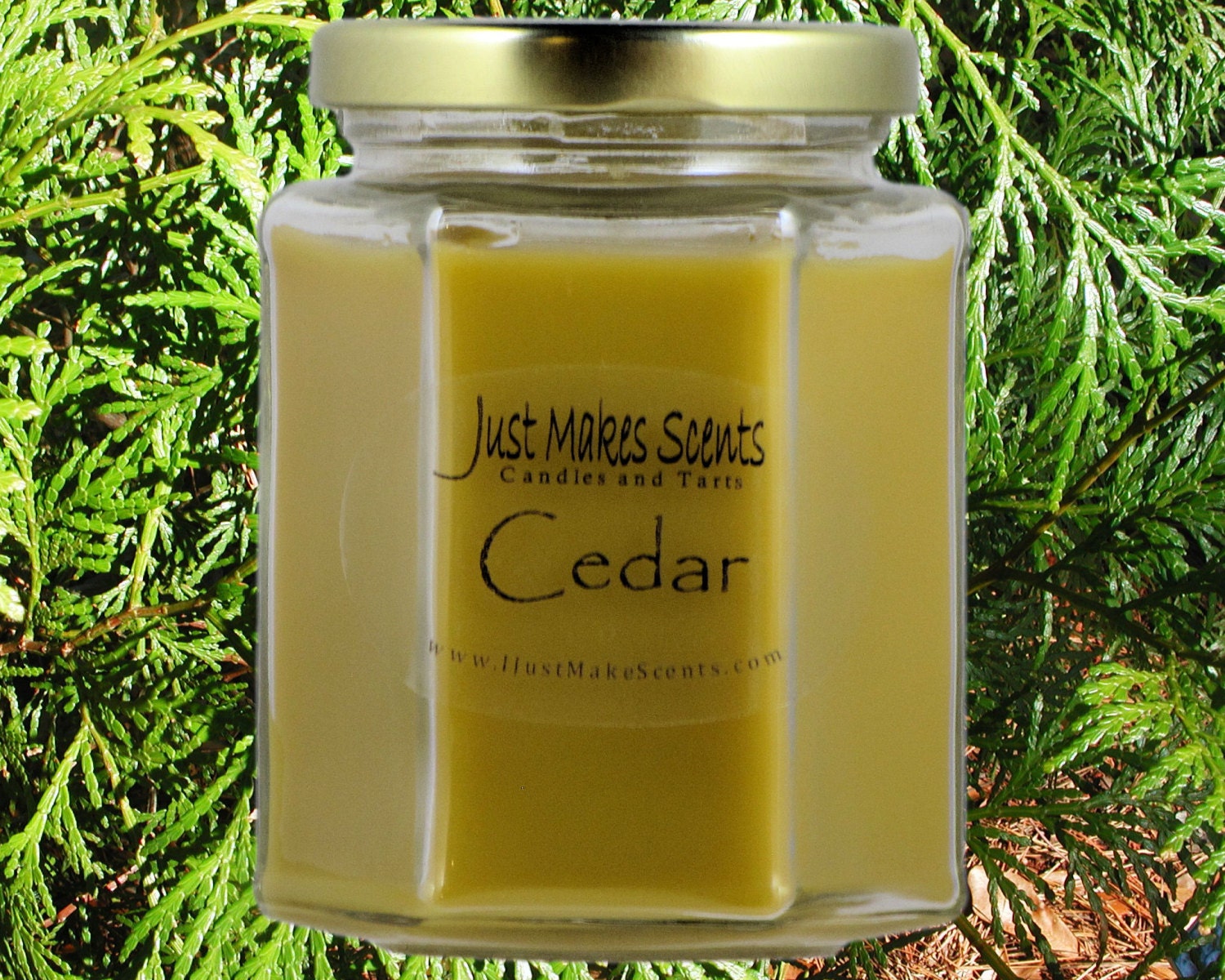 Cedar Scented Blended Soy Candles - Woodsy Masculine Scent Clean Fresh Candle Fragrance