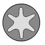 Sylinterikannen pulttisarja, FORD,MAZDA, 1E07-10-135 (10x), 6 732 295 (10x)