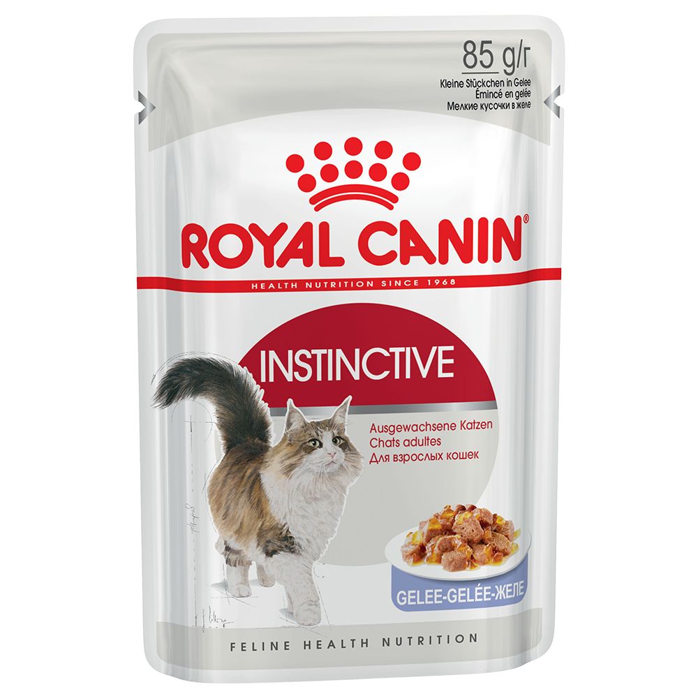 Royal Canin Adult Jelly & Gravy Mixed Pack 24 x 85g - Instinctive in Jelly & Gravy
