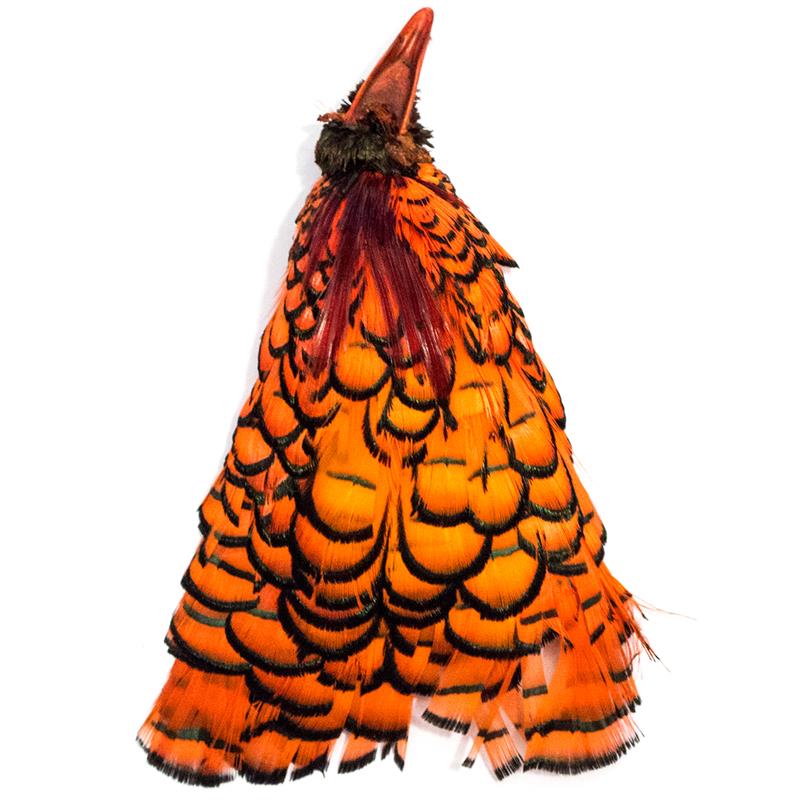 Amherst Pheasant Head No.2 - Dyed Orange Diamantfasan komplett hode