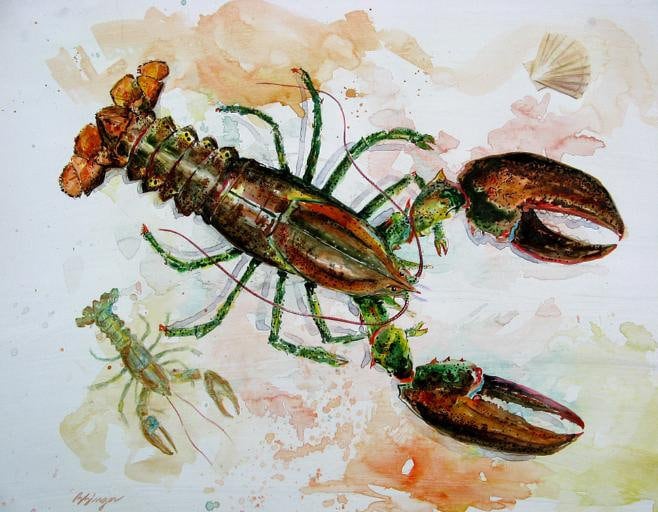 Original Extra Large Lobster 22x28 Watercolor Painting Coastal Beach Decor Maine New England Seafood Art By Barry Singer
