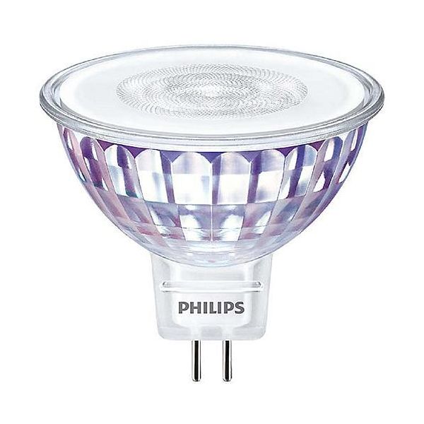 Philips Ledspot Spotlight 7 W