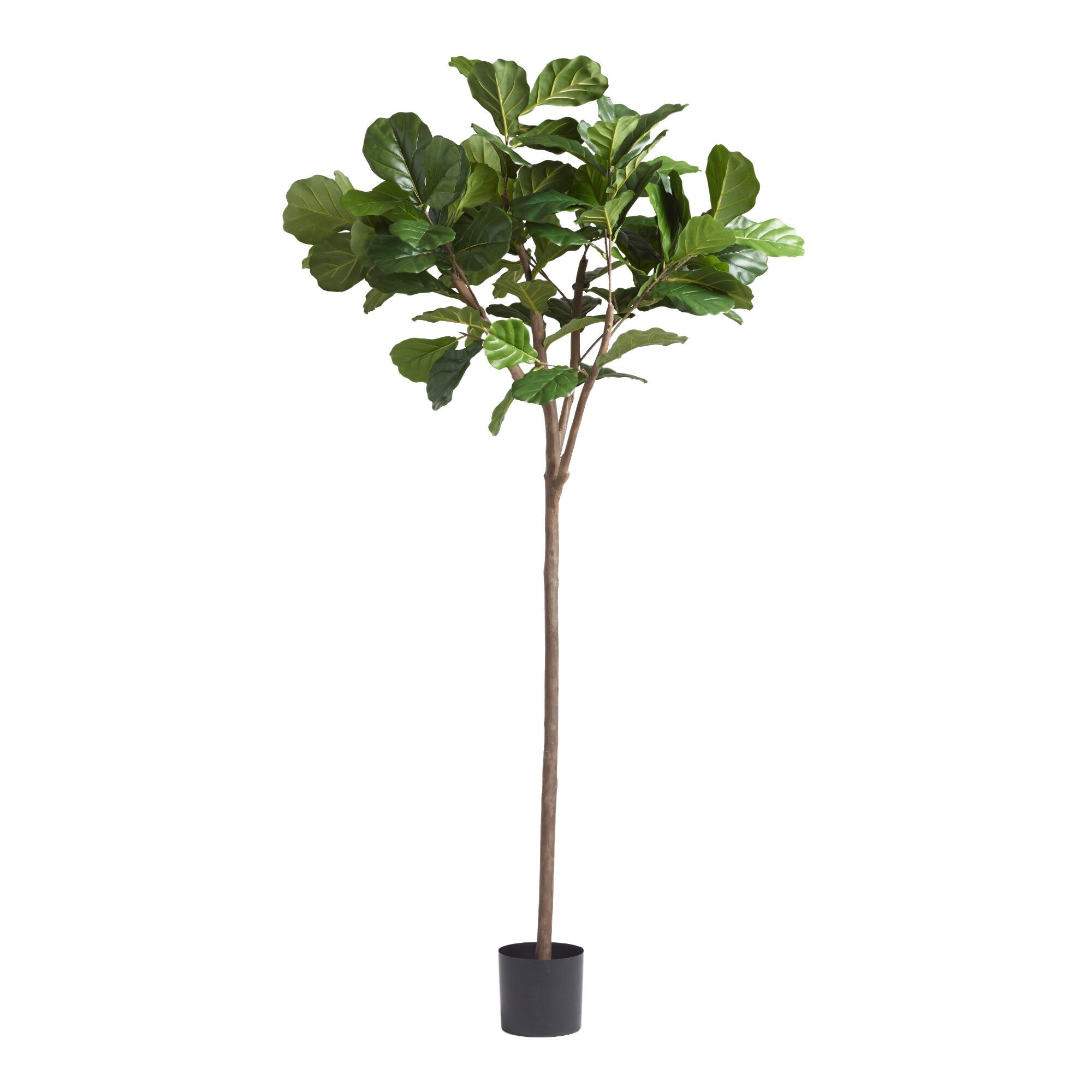 6 Foot Faux Fiddle Leaf Fig Tree: Green by World Market